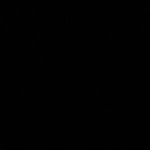 Meet your Posher, Wwragner